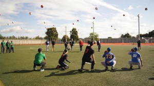 Baseballprojekt Baseballprojekt